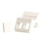 Lanview Wall plate, angled, for 2 x Lanview Wall plate, angled, for 2 x